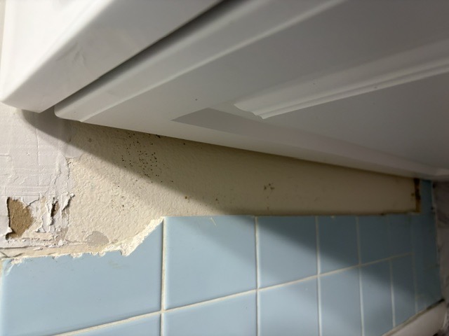 Bathroom drywall & water damage repair